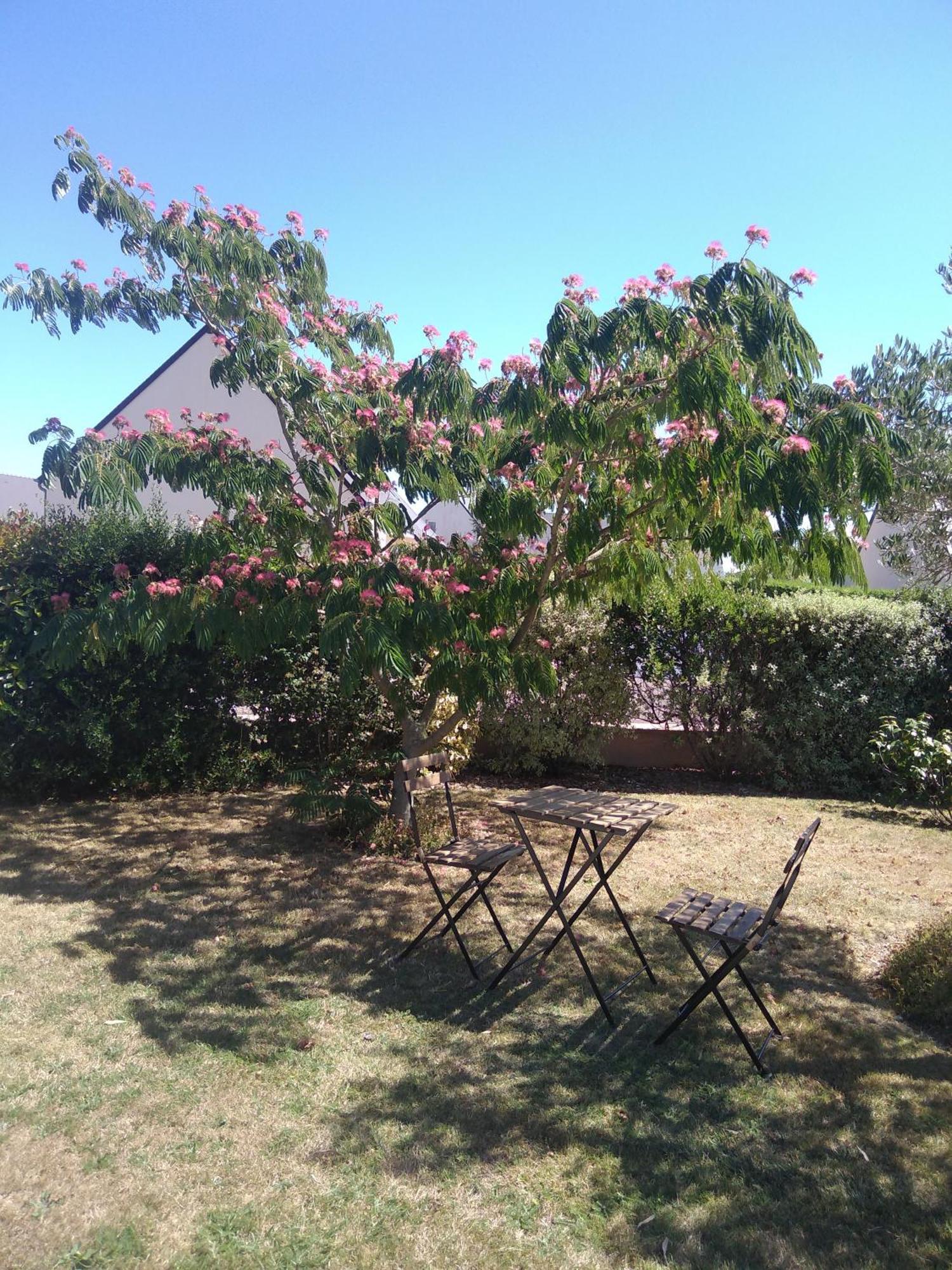 Agreable Au Calme Apartment Saint-Hilaire-Petitville